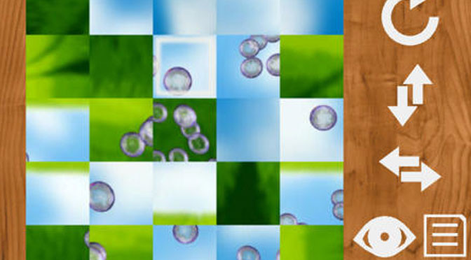 PuzzlesqueFEATURE