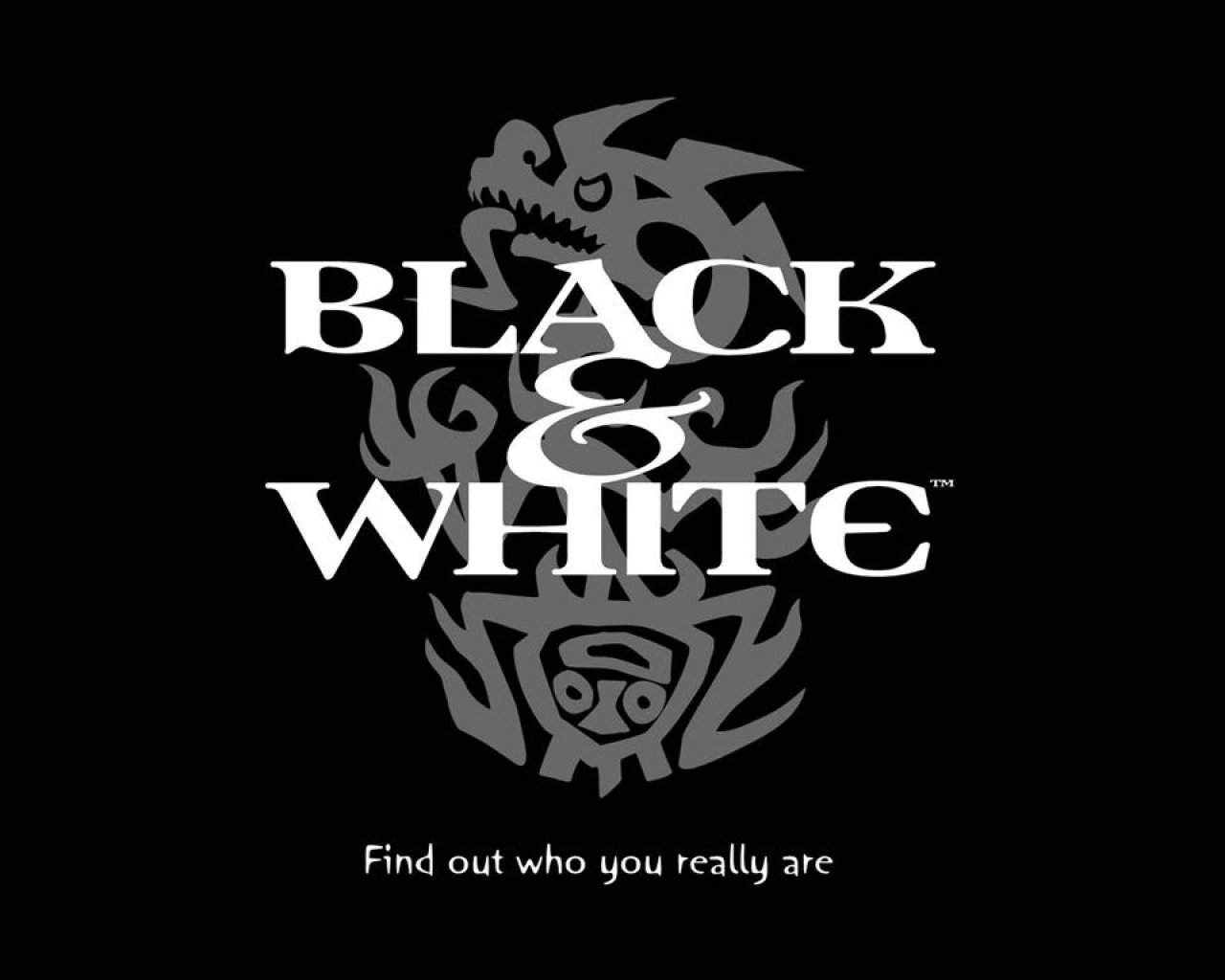 black_and_white_promo_poster
