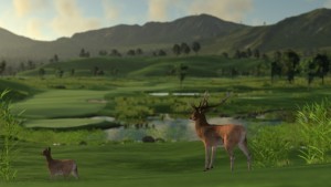 wildlife09-1024x576