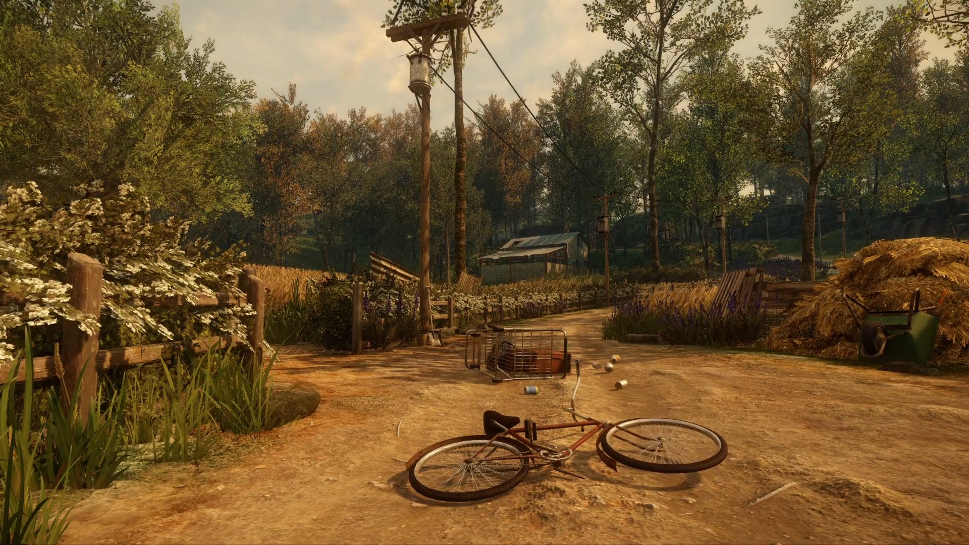 Everybody's gone to the rapture