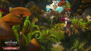 No, you did not drift into a Nintendo game Mario, er, Geralt. Just more of the fantastic land of Toussaint.