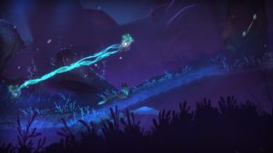 Fox and Fireflies