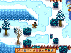 Stardew Valley