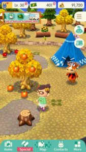 Animal Crossing Pocket Camp