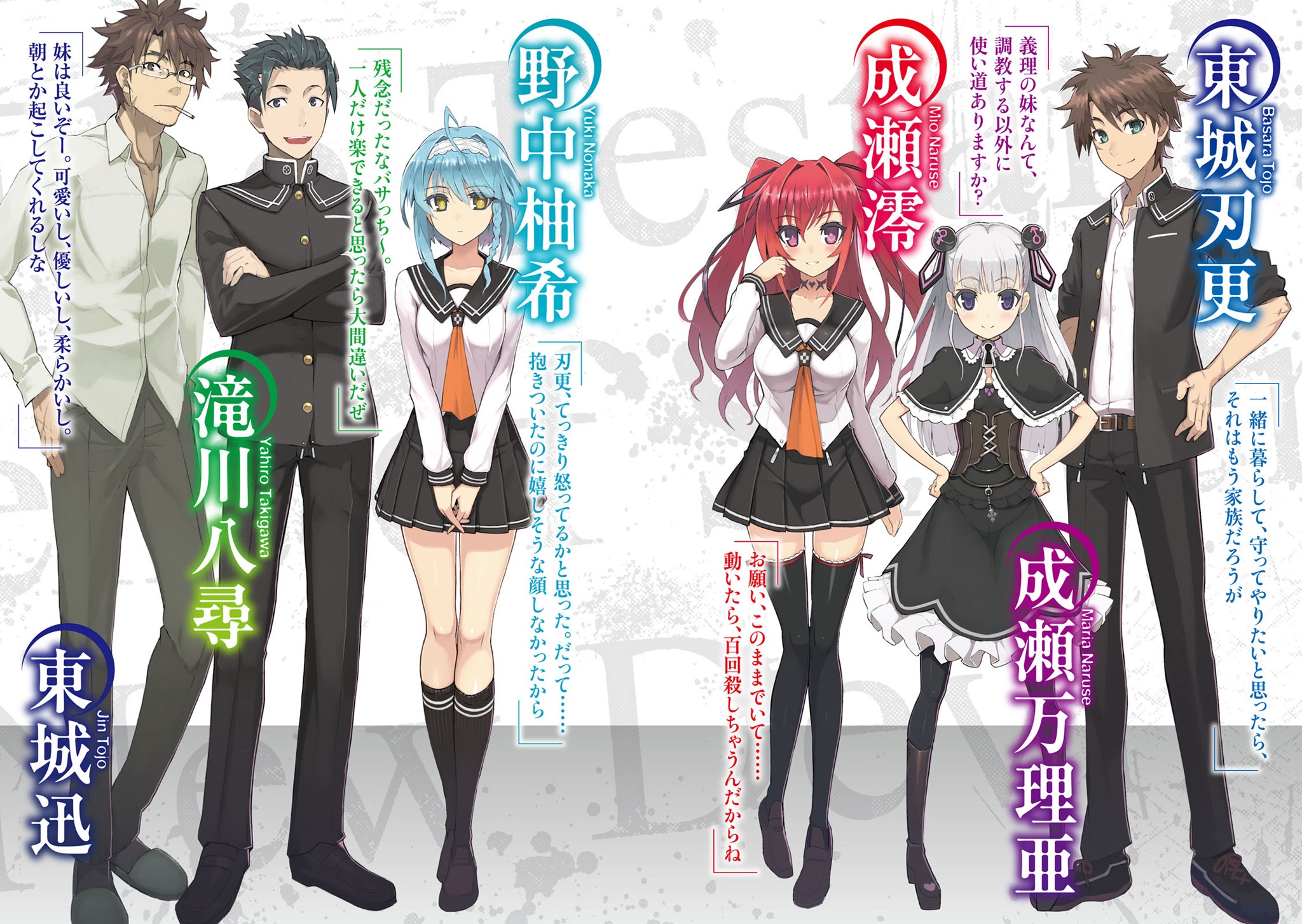 Shinmai testament light novel