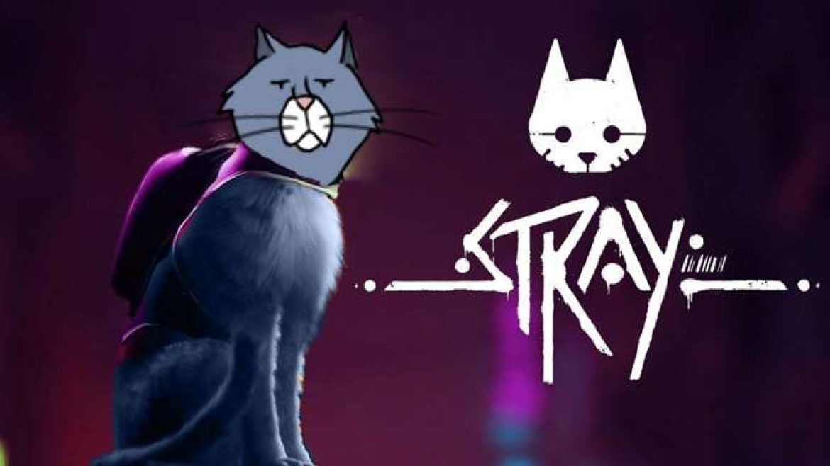 31 TEASER_672X375