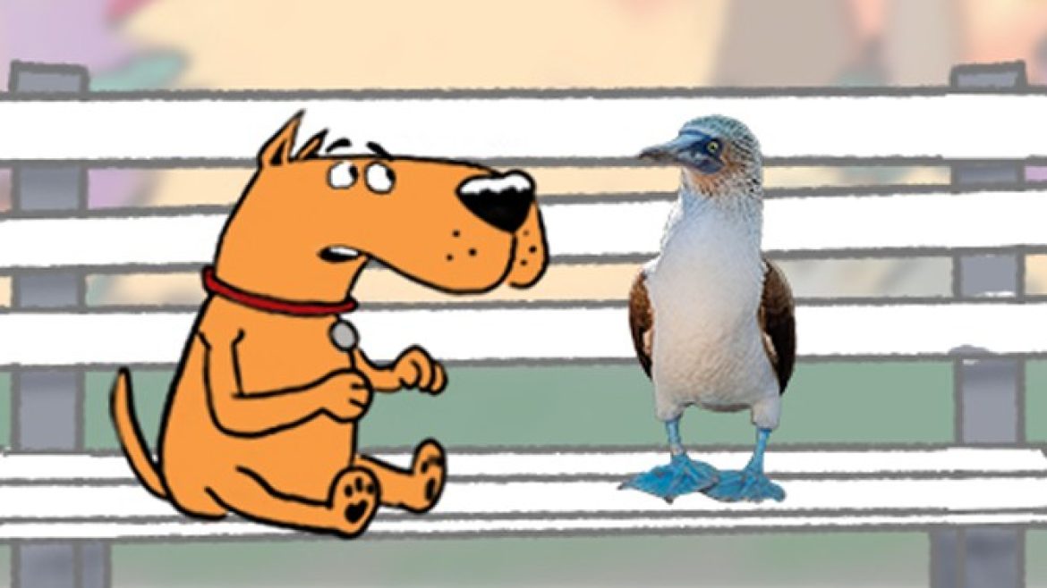 43 TEASER_2023_672X375