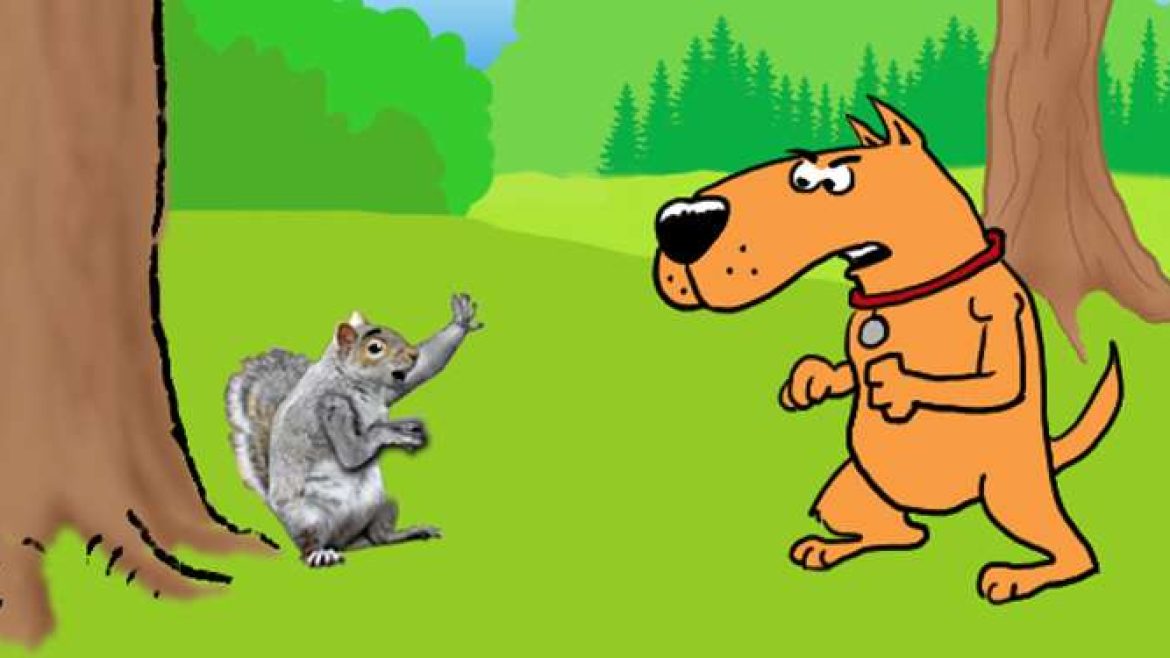 50-TEASER_2023_672X375