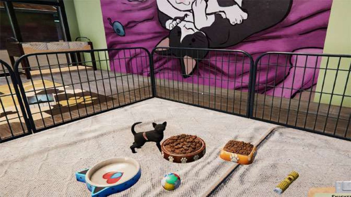 AnimalShelterKittensPups-FE