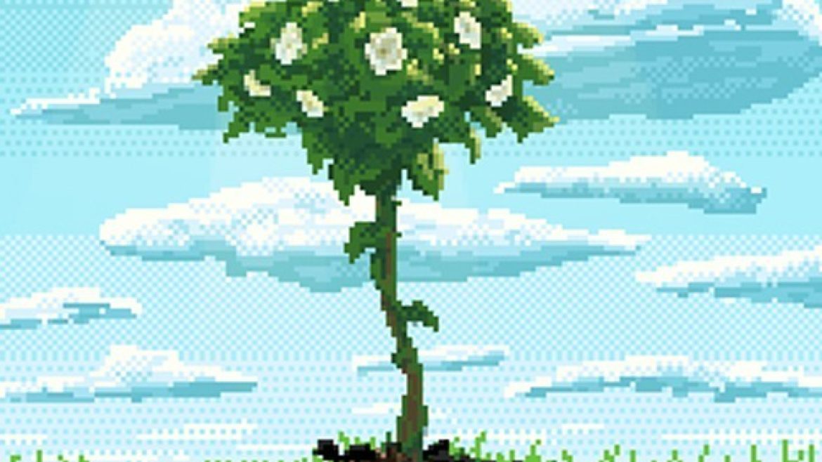 From Sprout to Splendor 2