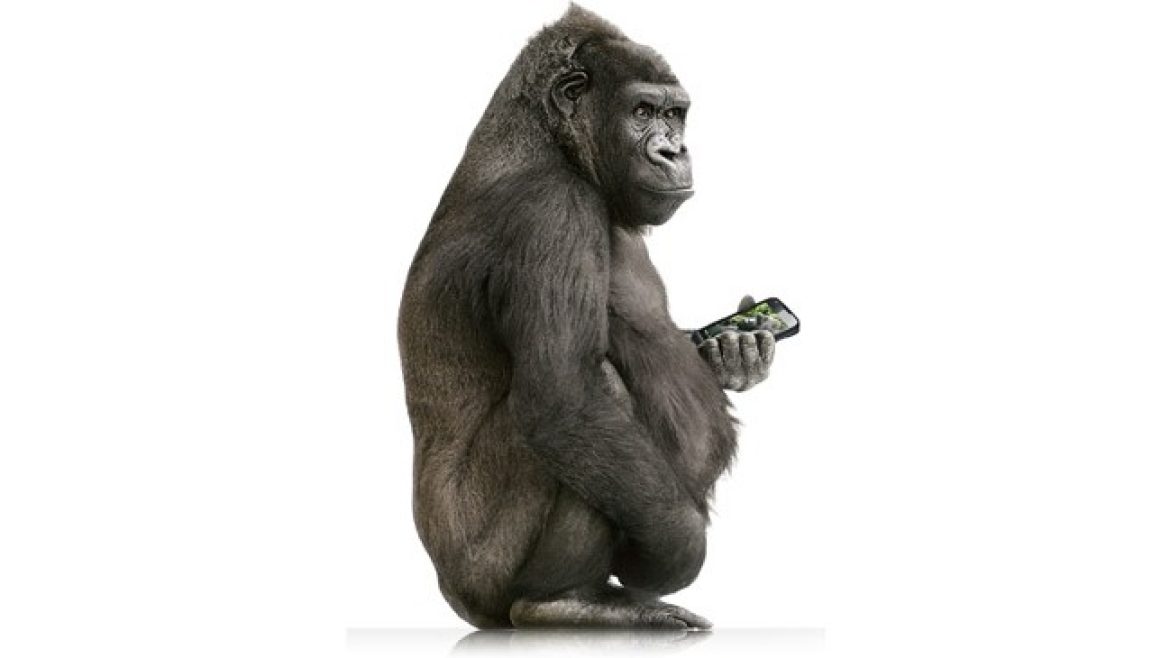 GorillaGlassNEWS