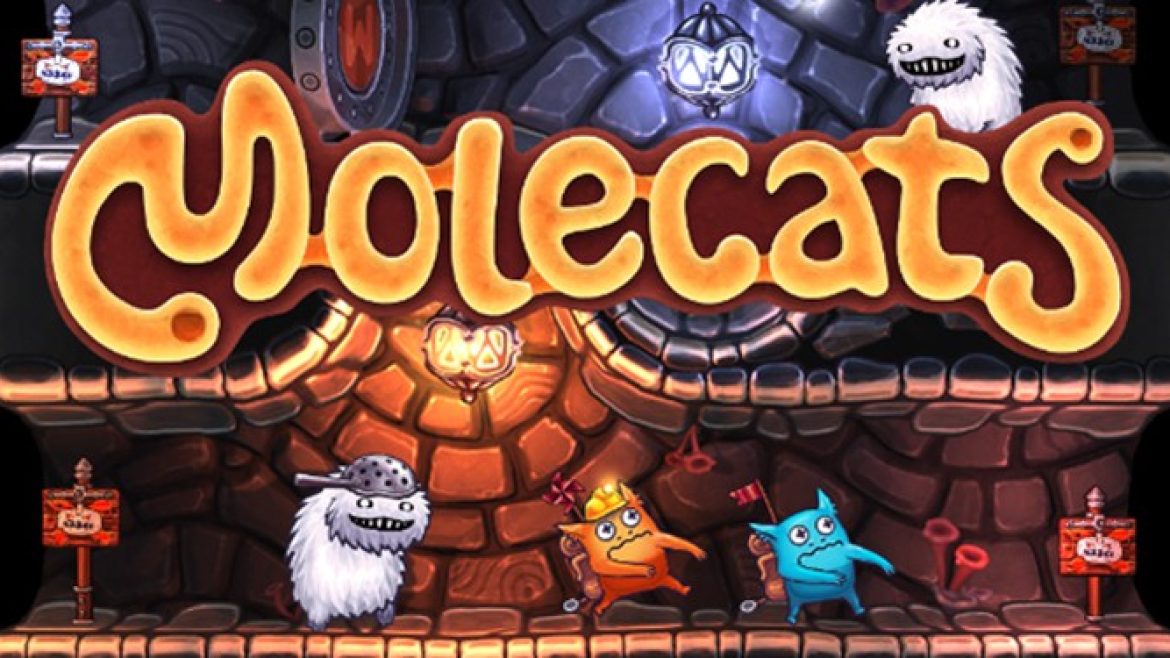 Molecats-NEWS