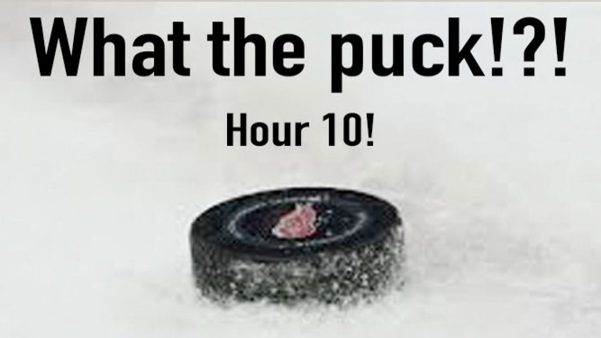 PuckCartoonSized