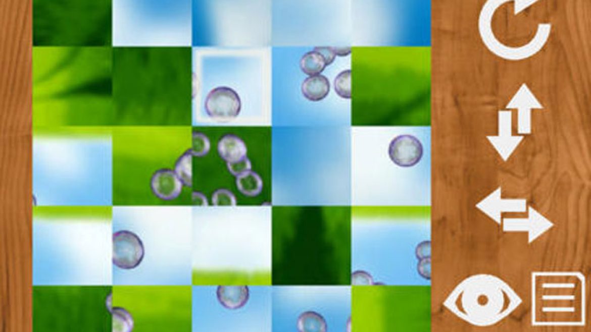 PuzzlesqueFEATURE