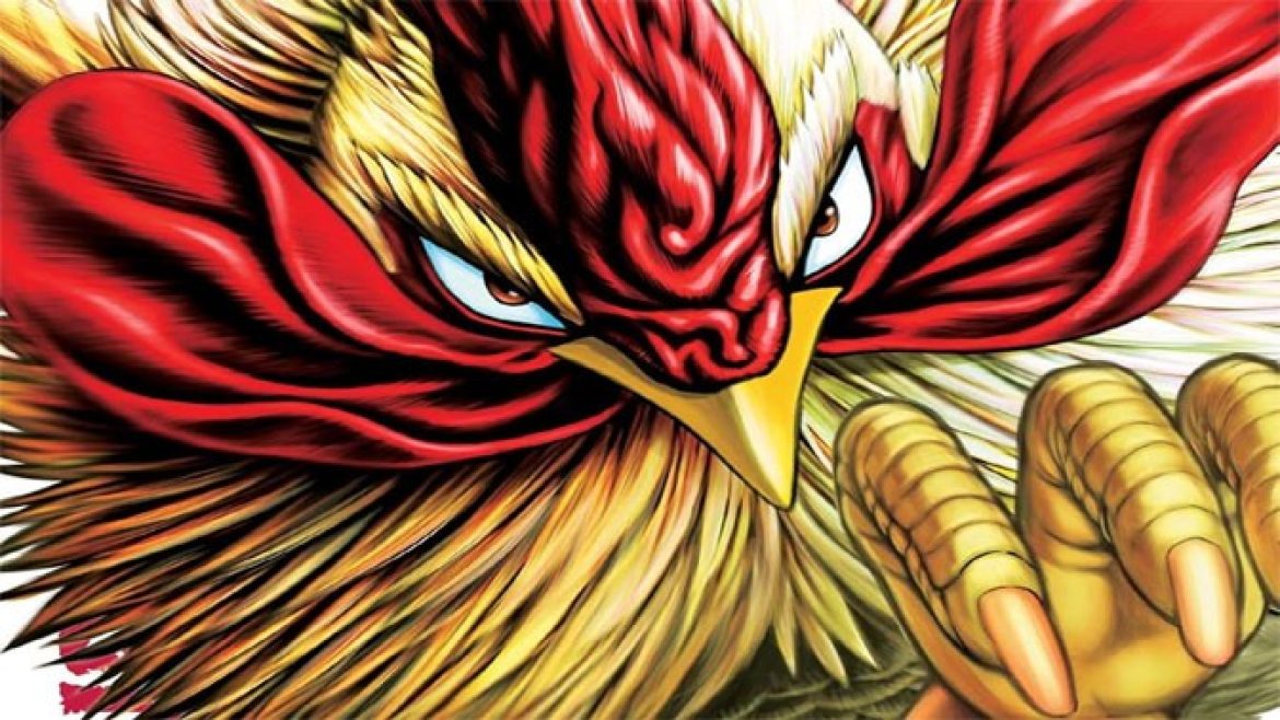 Rooster-Fighter-NEWS2