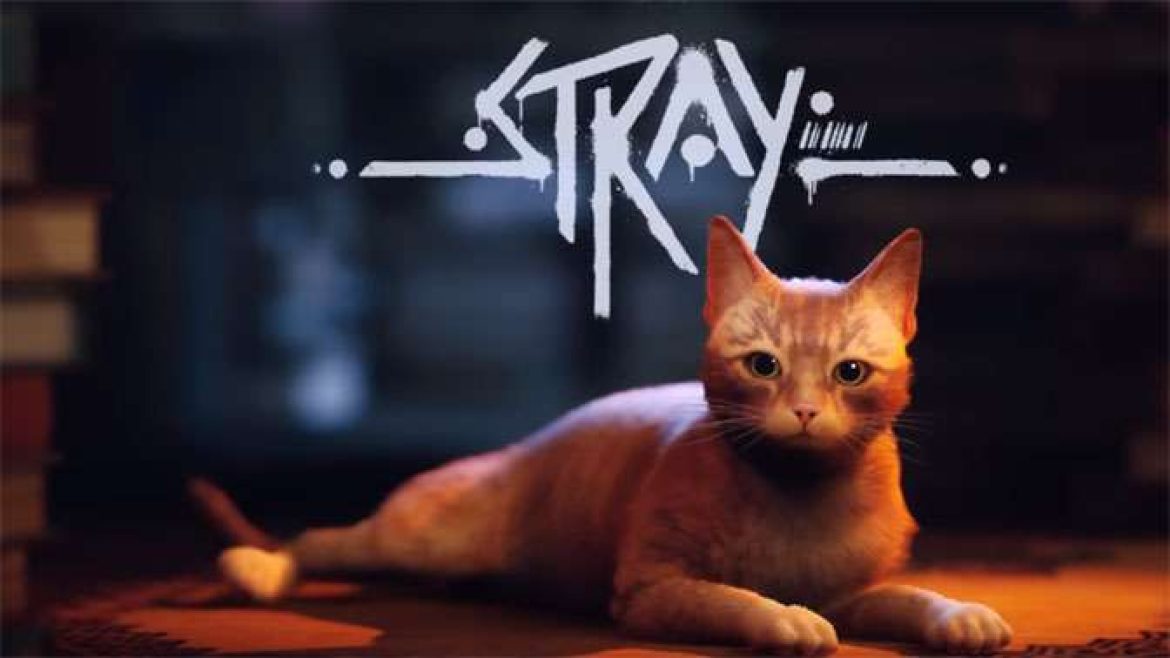 Stray-Feature