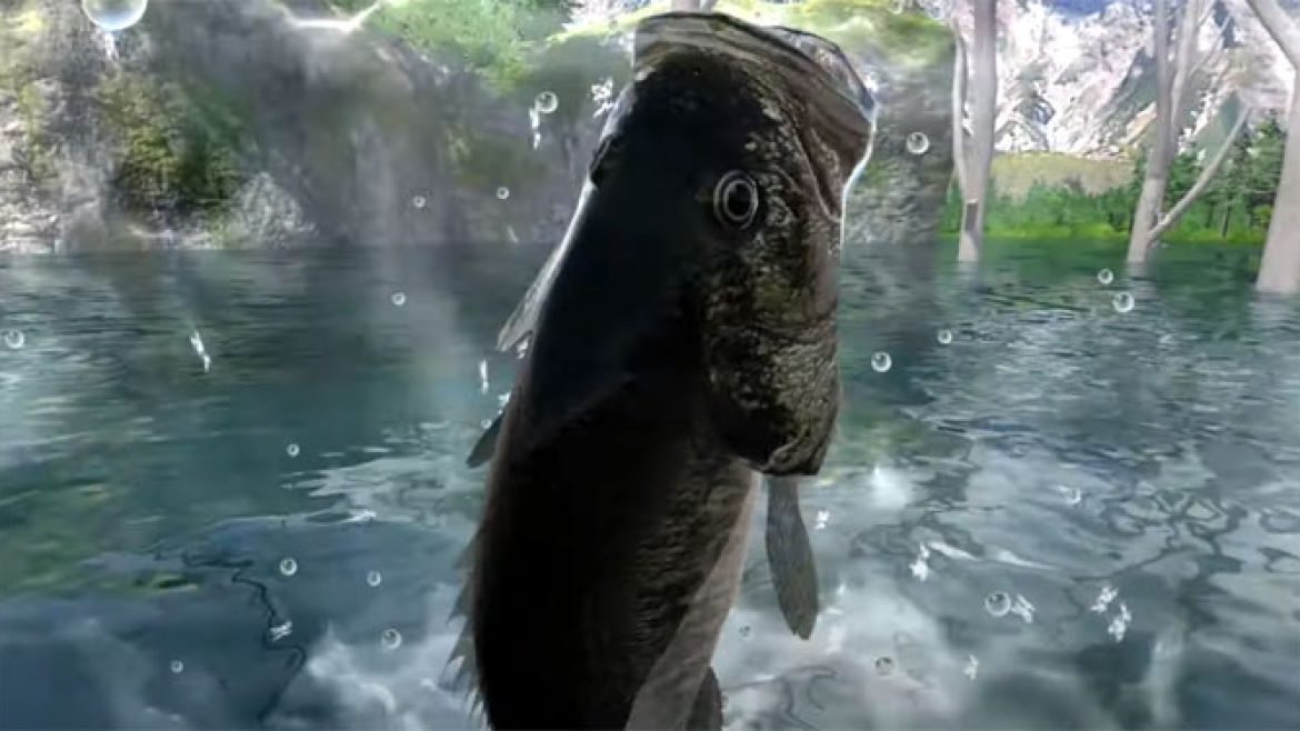 TheBassFishing-NEWS