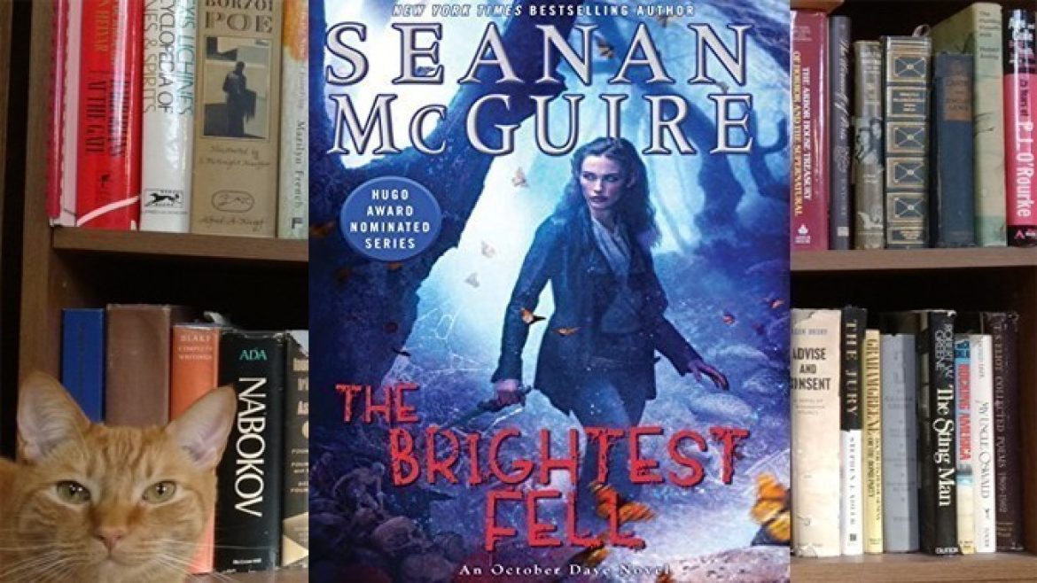 TheBrightestFellFRONT