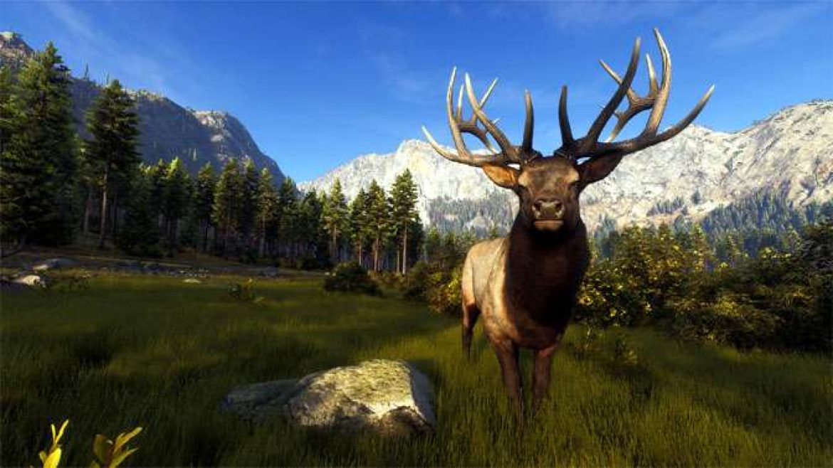 Wayofthehunter-FEATURE