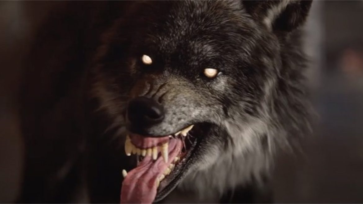 WerewolfEarthbloodTrailers-