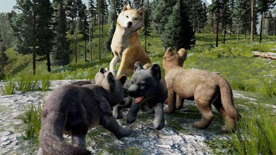 Wolf-Quest-NEWS-2