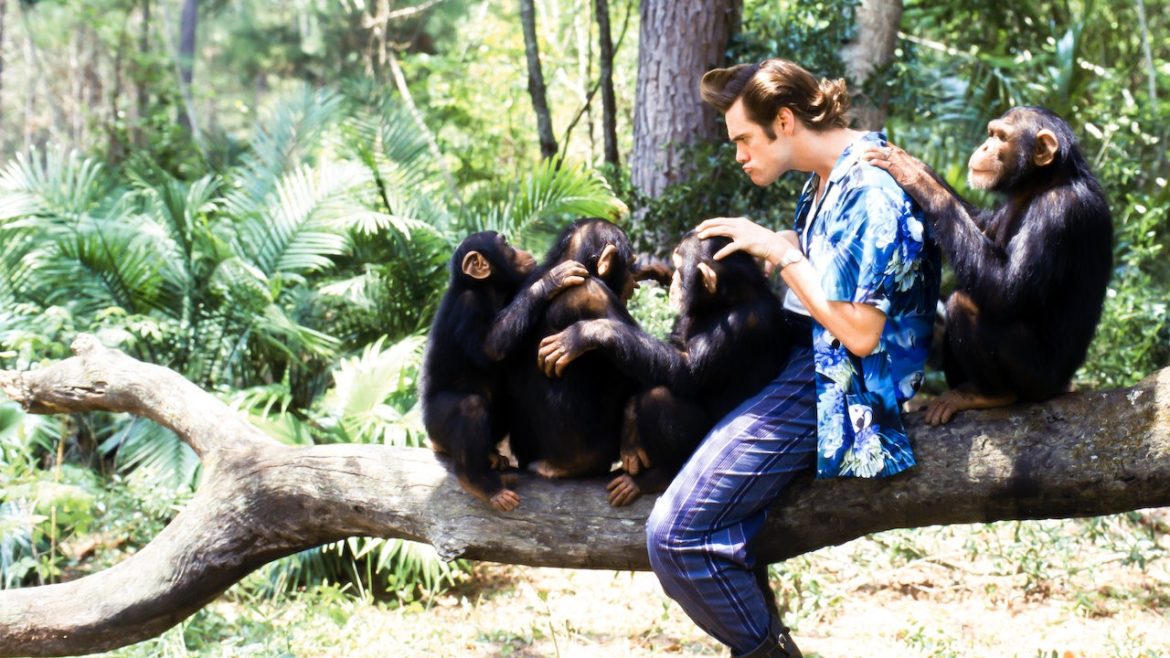 ace_ventura_02_wp