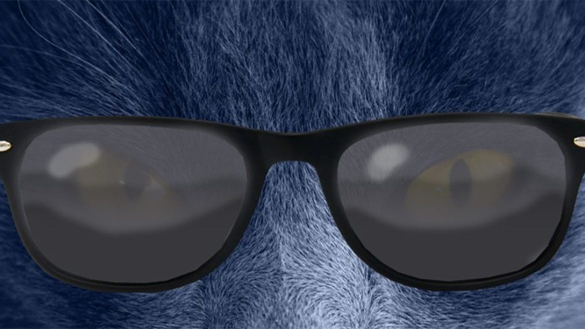 cat-glasses-for-cartoon